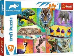 V exotickom svete - puzzle z kategorie Přírodní scenérie