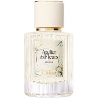 Chloé Atelier des Fleurs Cedrus Eau de Parfum für Damen 50 ml