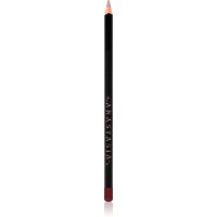 Anastasia Beverly Hills Lip Liner kontúrovacia ceruzka na pery odtieň Raisin 1,49 g