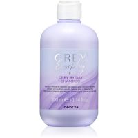 Inebrya Greylosophy Grey By Day Shampoo шампунь-тонер для сивого волосся 300 мл