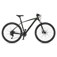 Horské kolo 4EVER Frontbee 29'' 10.0 M (17", 165-175 cm) pearl black/green