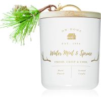 DW Home Farmhouse Winter Mint & Spruce świeczka zapachowa 244 g