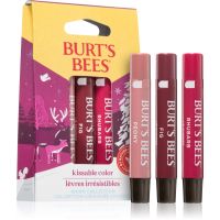 Burt’s Bees Festive Kissable Color set cu luciu de buze