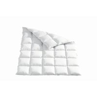 Sleeptex CELOROČNÁ PRIKRÝVKA, 220/240 cm, kačacie páperie, kačacie perie