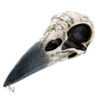 Dekoration Edgar's Raven Skull