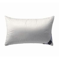 Billerbeck VANKÚŠ POD HLAVU, 40/60 cm