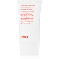 EVO Repair Mane Attention tiefenwirksame feuchtigkeitsspendende Maske für beschädigtes und coloriertes Haar 150 ml