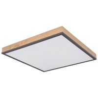 Globo STROPNÍ LED SVÍTIDLO, 45/45/6,5 cm