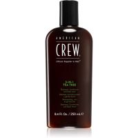 American Crew Hair & Body 3-IN-1 Tea Tree Shampoo, Conditioner und Duschgel 3in1 für Herren 250 ml