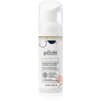 Gallinée SKIN CARE Foaming Facial Cleanser nežna čistilna pena za obraz 50 ml