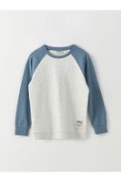 LC Waikiki Crew Neck Color Block Long Sleeve Boys' T-Shirt