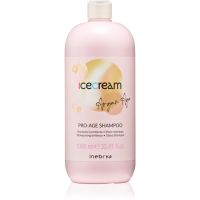 Inebrya Argan-Age Pro-Age Shampoo аргановий шампунь для блиску 1000 мл