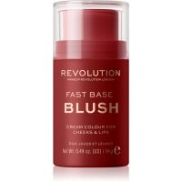 Makeup Revolution Fast Base тональний бальзам для губ відтінок Spice 14 гр