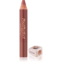 ZOEVA Pout Perfect Lipliner und Lippenstift-Duo 2 in 1 Farbton Carrie 3,94 g