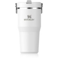 Stanley IceFlow™ Flip Straw Tumbler пляшка для води з неіржавної сталі Frost 600 мл