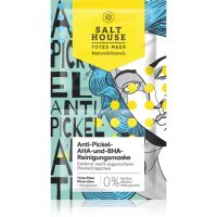 Salt House Natural Minerals Anti-pimple AHA and BHA Cleansing Mask почистваща маска 2x6 мл.