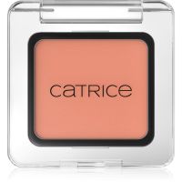 Catrice Art Couleurs Lidschatten Farbton 480 Apricot Touch 2 g