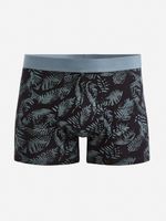 Celio Givege2 Boxer-Shorts Schwarz