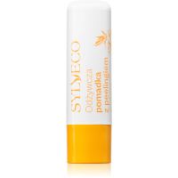 Sylveco Lip Care balzam na pery s peelingovým efektom 4.6 g