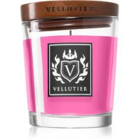 Vellutier Aged Bourbon & Plum lumânare parfumată 90 g