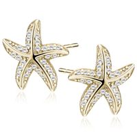 Olivie Stříbrné náušnice HVĚZDICE GOLD 9862