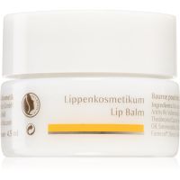 Dr. Hauschka Eye And Lip Care balzam za ustnice s hranilnim učinkom 4,5 ml