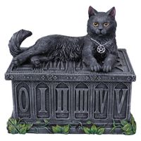 Dekorative Box Fortune's Watcher