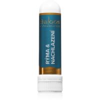 Saloos Aromatherapy Rýma & Nachlazení назальна паличка-інгалятор з есенціальними маслами 1 кс