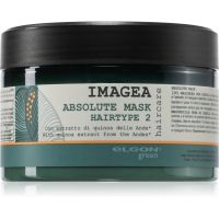 Elgon Green Imagea Absolute Mask maska za poškodovane lase 200 ml