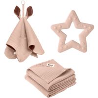 BIBS Baby Gift Set Medium σετ δώρου Blush 3+ months(για μωρά)