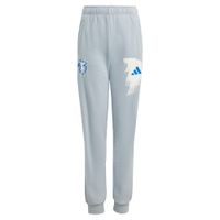ADIDAS PERFORMANCE Sportske hlače 'Jude Bellingham'  plava / svijetlosiva / prljavo bijela