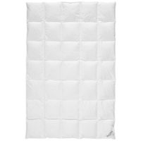 Sleeptex CELOROČNÍ PŘIKRÝVKA, 135/200 cm, peří, prachové peří