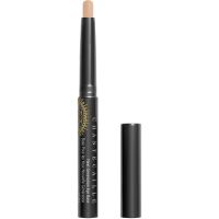 Chantecaille Next Generation Eye Base Primer leicht gefärbter Make-up Primer zum Auftragen unter den Lidschatten Light 1.3 g