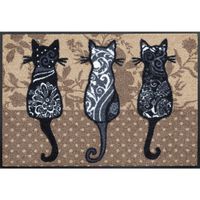 Esposa DVEŘNÍ ROHOŽKA, 50/75 cm