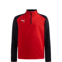 PUMA Sportska sweater majica 'TeamLiga 14'  crvena / crna