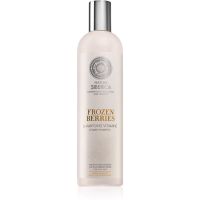 Natura Siberica Copenhagen Frozen Berries Vitamin-Shampoo für fettiges Haar 400 ml