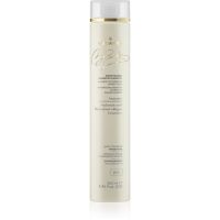 Medavita Blondie Sunset Blonde Enhancing Shampoo шампунь для блонд волосся для підсилення кольору волосся 250 мл