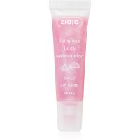 Ziaja Juicy Watermelon pflegendes Lipgloss 12 ml