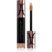 Anastasia Beverly Hills Magic Touch Concealer feuchtigkeitsspendender Korrektor Farbton 9 12 ml