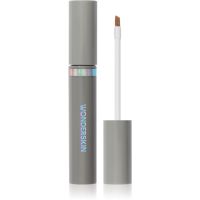 WONDERSKIN Wonder Blading Brow Stain & Go Masque dugotrajni gel za obrve nijansa Blonde 3,29 ml