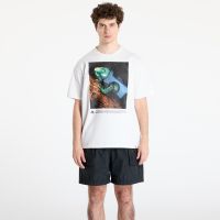 T-shirt Nike ACG Men's Dri-Fit T-Shirt Summit White S