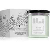 Hagi Winter Forest mirisna svijeća 230 g