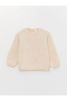 LC Waikiki Crew Neck Long Sleeve Baby Girl Knitwear Sweater