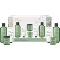 Baylis & Harding Wellness. Energise Geschenkset Ginger, Lime & Basil Leaf