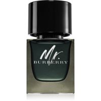 Burberry Mr. Burberry parfémovaná voda pro muže 50 ml