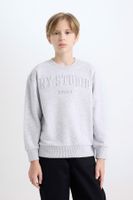 DEFACTO Girl Gray Crew Neck Printed Sweatshirt