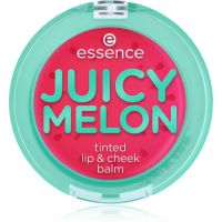 essence JUICY MELON бальзам  для губ та щік 3 гр