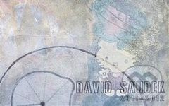 David Saudek 2011 - 2012