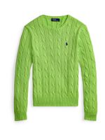 Polo Ralph Lauren Pulover  mornarsko plava / kivi zelena