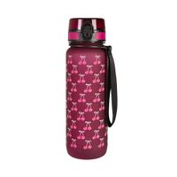 Športová fľaša 800ml - Čerešne ALBI